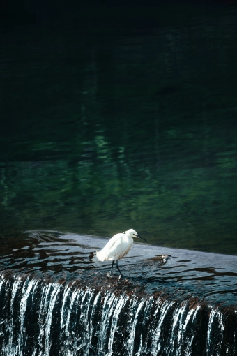 Photographie, Retouche photo, Nature, Artistique, Lifestyle