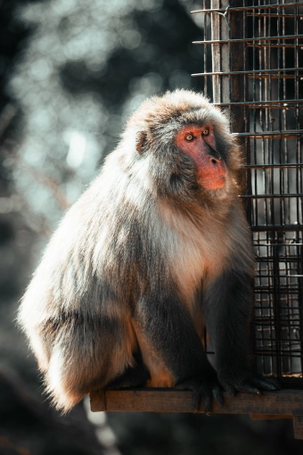 Photographie, Retouche photo, Nature, Artistique, Traditionnel, Lifestyle