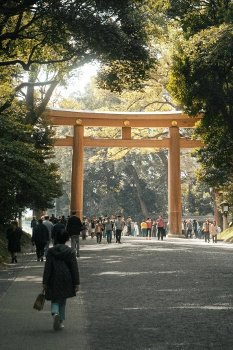 Photographie, Retouche photo, Nature, Artistique, Traditionnel, Lifestyle