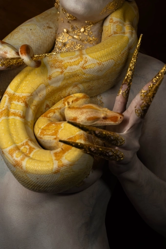 Photographie, Retouche photo, Animal de compagnie, Artistique, Traditionnel, Vintage, Lifestyle