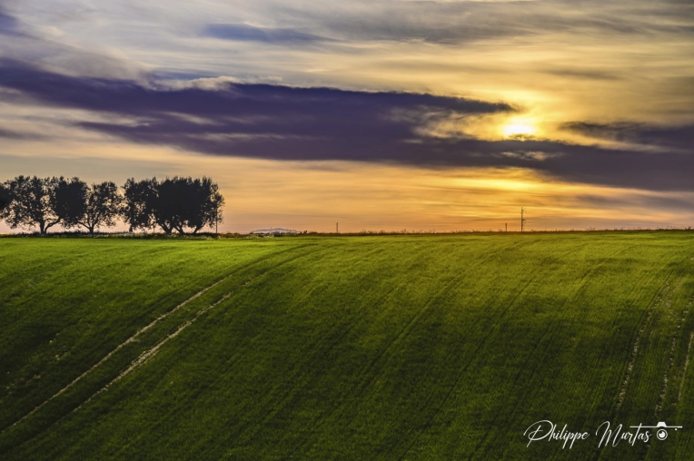 Photographie, Nature, Artistique