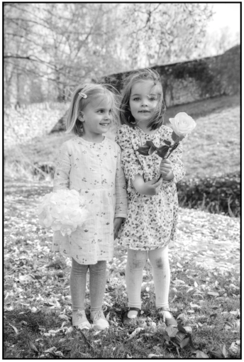 Photographie, Mariage, Traditionnel