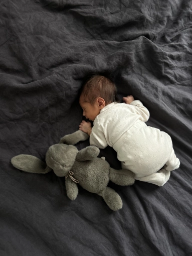 Photographie, Naissance