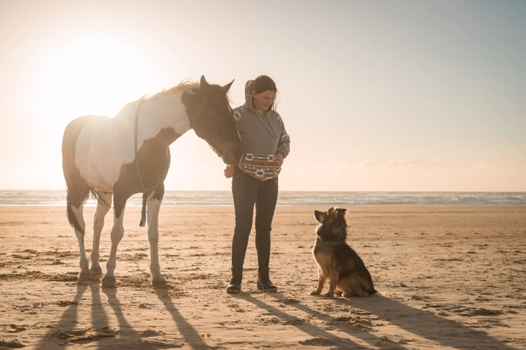 Photographie, Animal de compagnie, Artistique