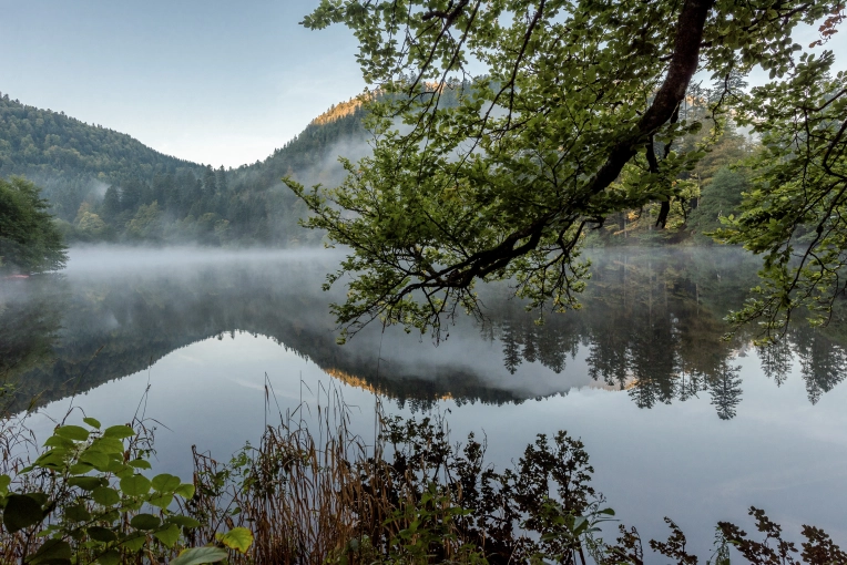 Photographie, Nature, Artistique, Lifestyle