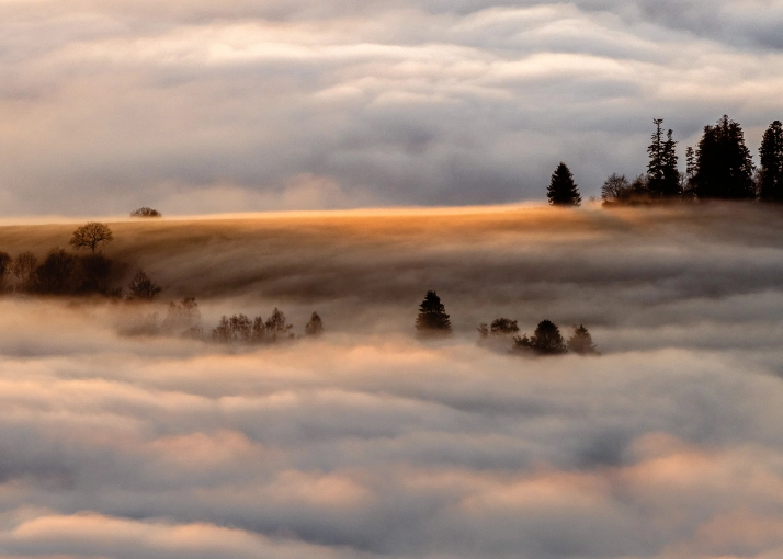 Photographie, Nature, Artistique, Lifestyle