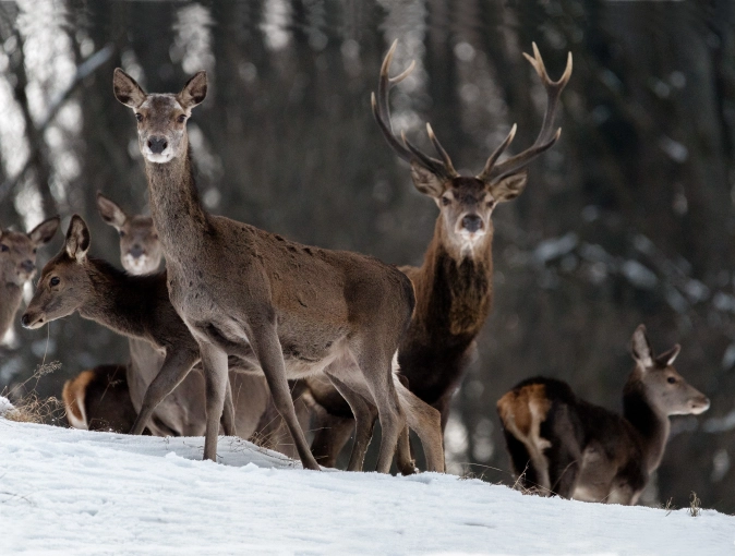 Photographie, Nature, Lifestyle