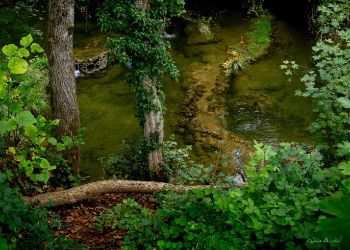 Photographie, Retouche photo, Nature, Artistique, Lifestyle