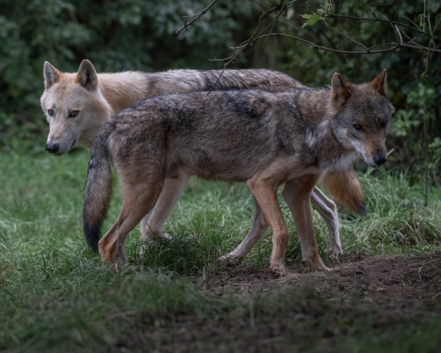 Photographie, Retouche photo, Nature, Lifestyle