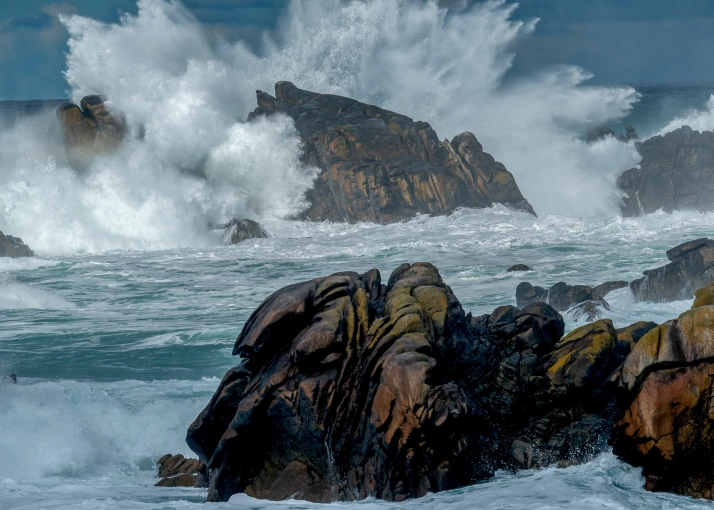 Photographie, Nature, Artistique, Lifestyle