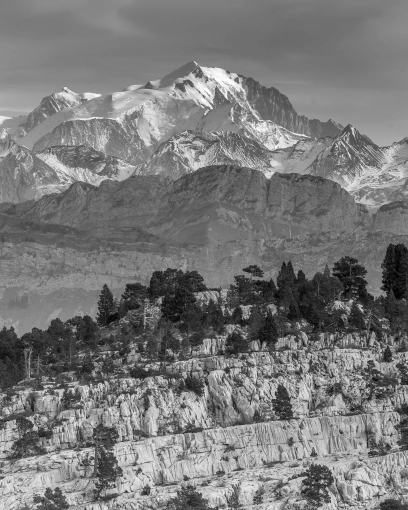 Photographie, Retouche photo, Formation, Cours de Photographie, Nature, Artistique, Vintage, Lifestyle