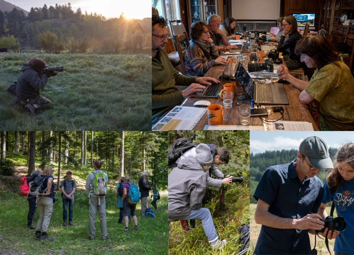 Photographie, Retouche photo, Formation, Photothérapie, Artistique, Lifestyle