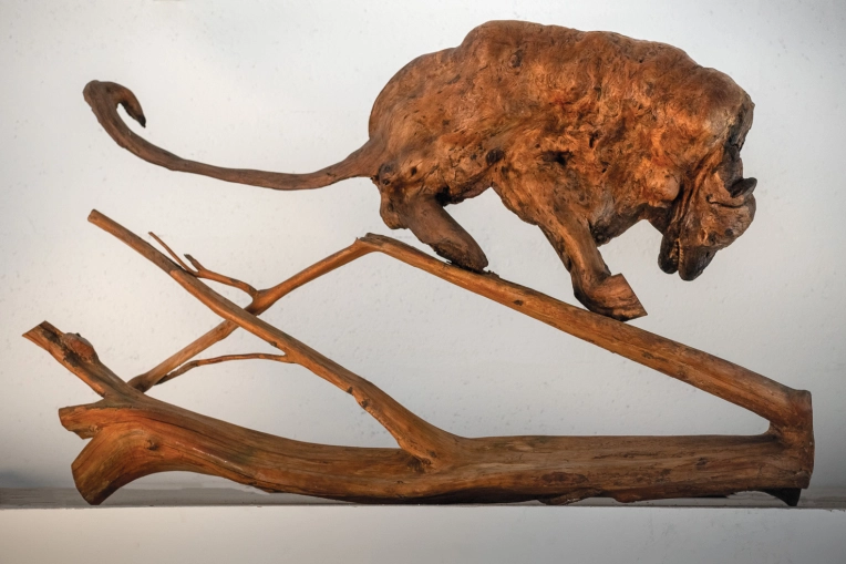 Photographie, Retouche photo, Photo produit, Artistique, Lifestyle