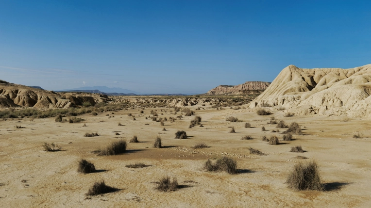 Photographie, Retouche photo, Nature, Artistique, Traditionnel, Lifestyle