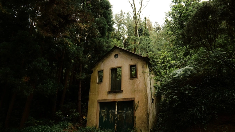 Photographie, Retouche photo, Nature, Artistique, Traditionnel, Lifestyle