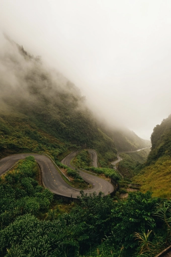 Photographie, Nature, Artistique, Traditionnel, Vintage, Lifestyle