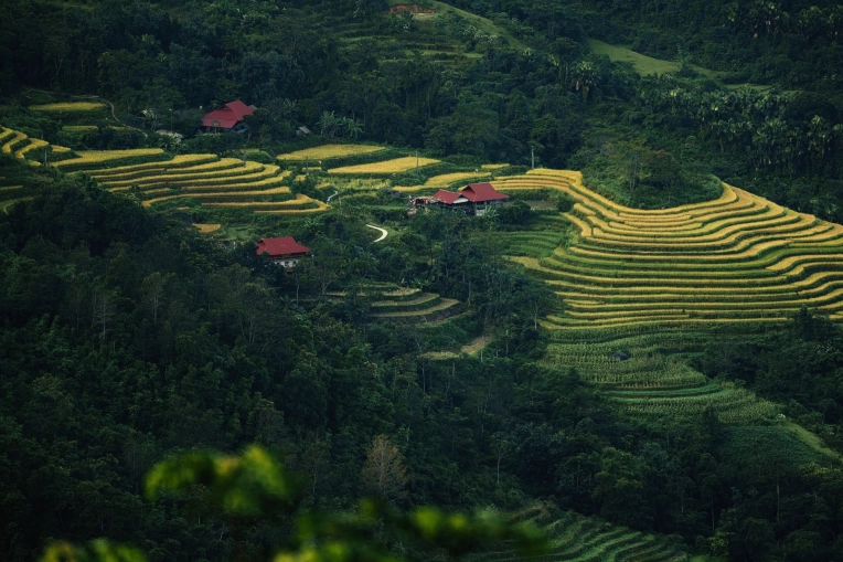Photographie, Retouche photo, Nature, Artistique, Traditionnel, Lifestyle