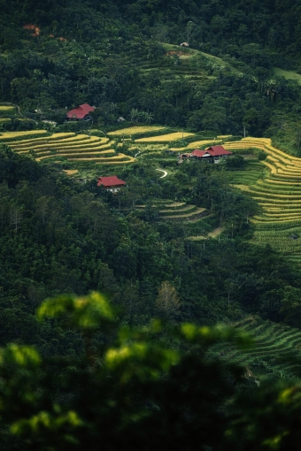 Photographie, Retouche photo, Nature, Artistique, Traditionnel, Lifestyle