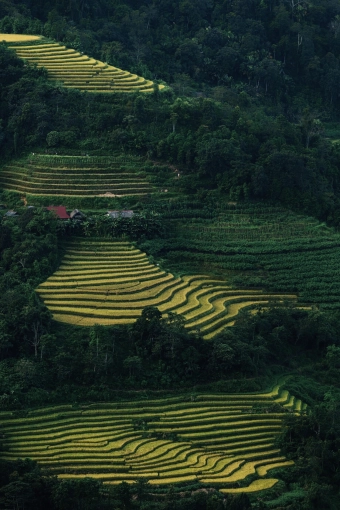 Photographie, Nature, Artistique, Traditionnel, Lifestyle