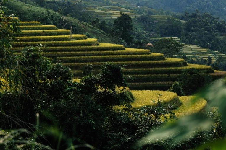 Photographie, Retouche photo, Nature, Artistique, Traditionnel, Lifestyle