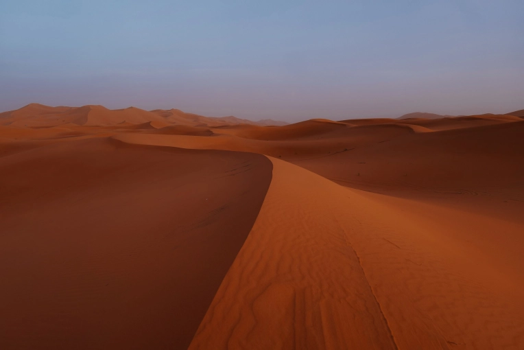 Photographie, Retouche photo, Nature, Artistique, Traditionnel, Vintage, Lifestyle