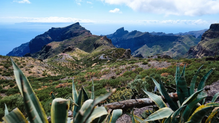 Photographie, Retouche photo, Nature, Artistique, Traditionnel, Vintage, Lifestyle