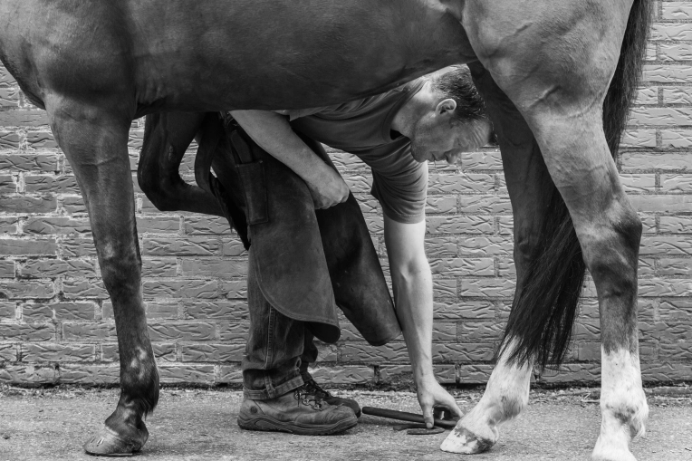 Photographie, Retouche photo, Corporate, Artistique, Traditionnel