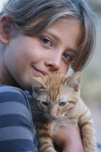 Photography, Pets, Traditional