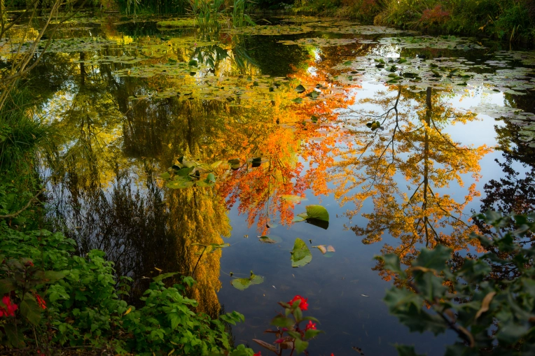 Photography, Nature, Artistic