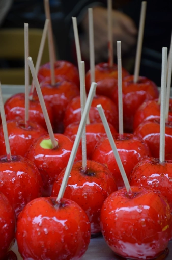 Photographie, Culinaire, Artistique, Traditionnel