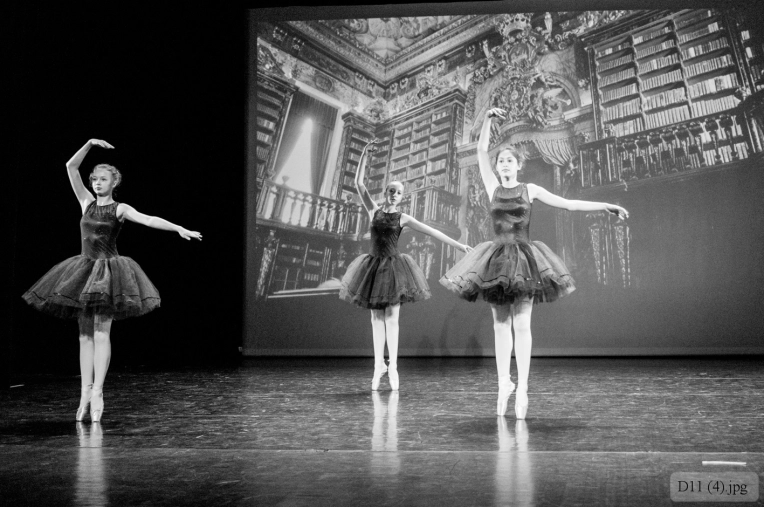 Photographie, Concert/Spectacle, Traditionnel