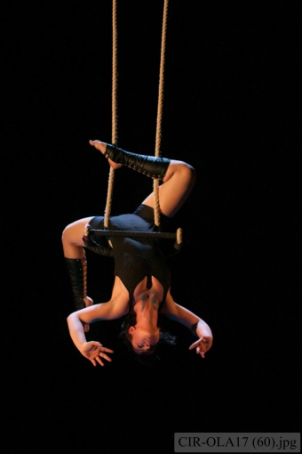 Photographie, Concert/Spectacle, Artistique, Traditionnel