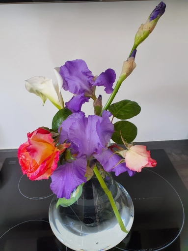 Photographie, Nature, Artistique, Traditionnel