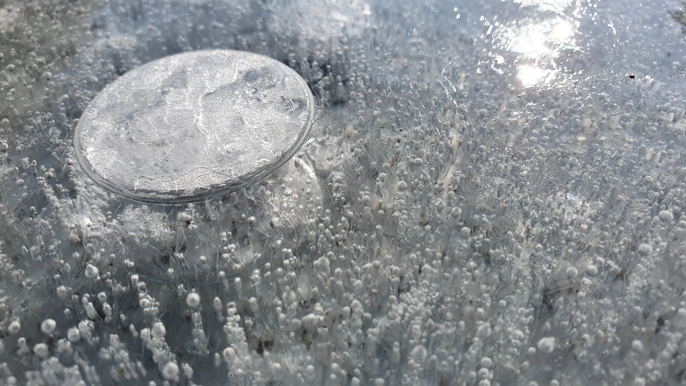 Photographie, Nature, Artistique, Traditionnel