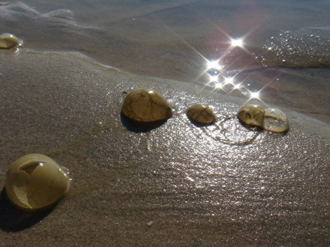 Photographie, Nature, Artistique, Traditionnel