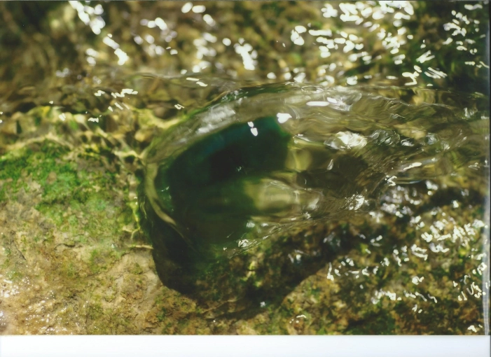 Photographie, Nature, Artistique, Traditionnel