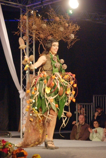 Photographie, Conférence / Salon, Artistique, Traditionnel