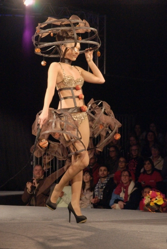 Photographie, Conférence / Salon, Artistique, Traditionnel