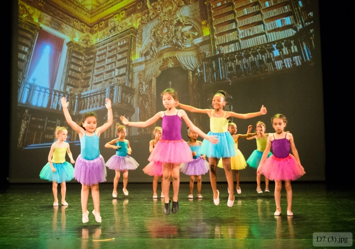 Photographie, Scolaire, Traditionnel