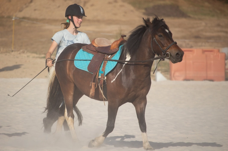 Photographie, Retouche photo, Animal de compagnie, Artistique, Traditionnel, Lifestyle