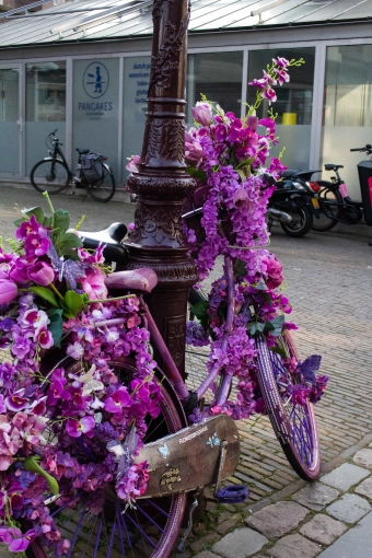 Photographie, Retouche photo, Baby shower, Artistique, Traditionnel, Lifestyle