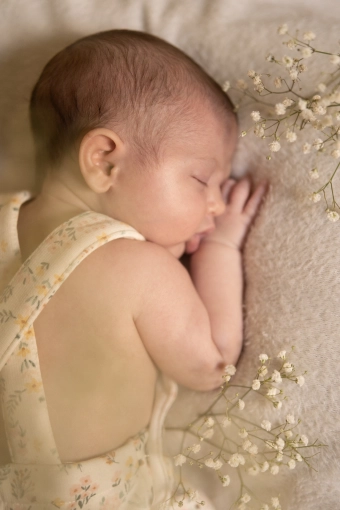 Photographie, Naissance, Traditionnel