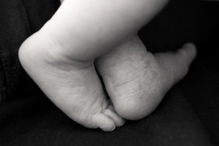 Photographie, Naissance, Lifestyle