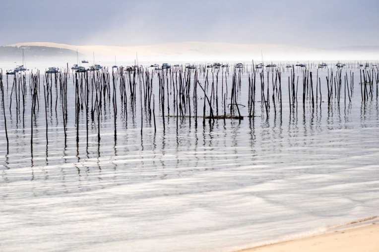 Photographie, Nature, Artistique, Lifestyle