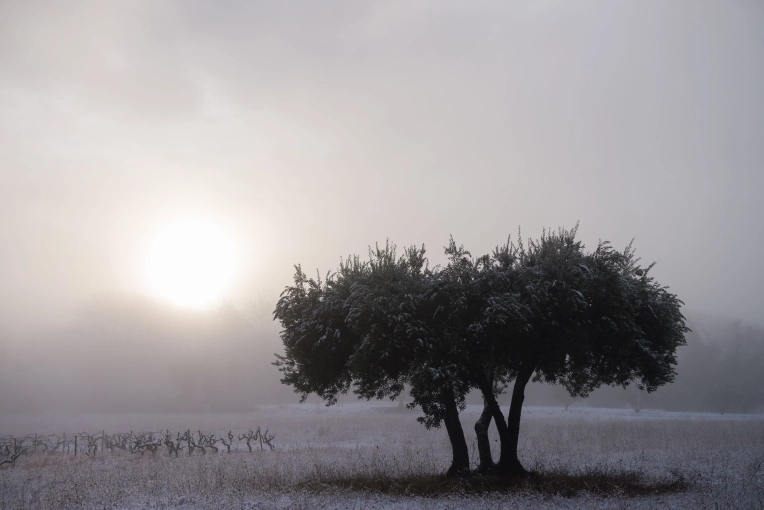 Photographie, Nature, Artistique, Lifestyle