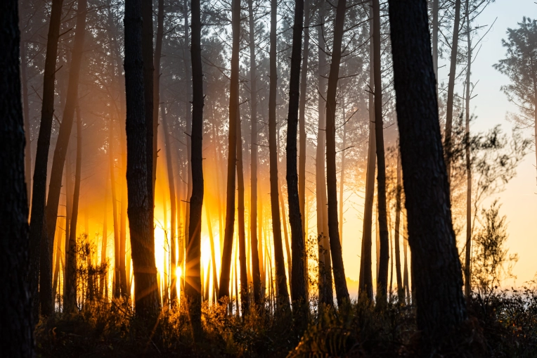 Photographie, Nature, Artistique, Lifestyle