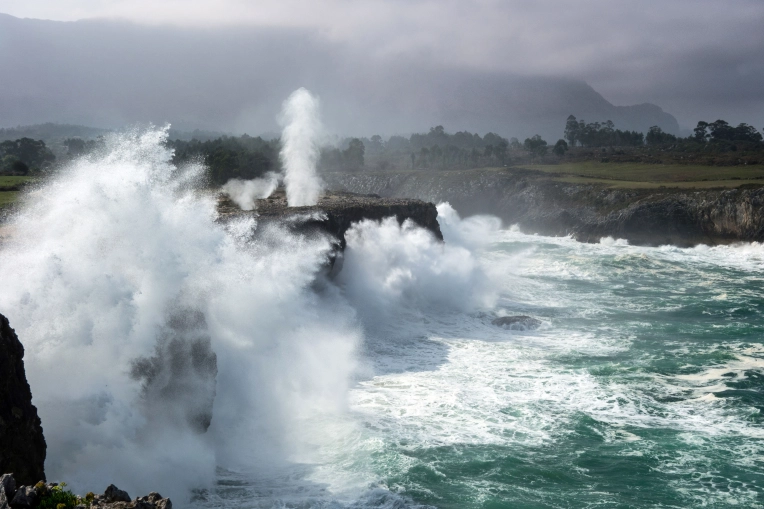 Photographie, Nature, Lifestyle