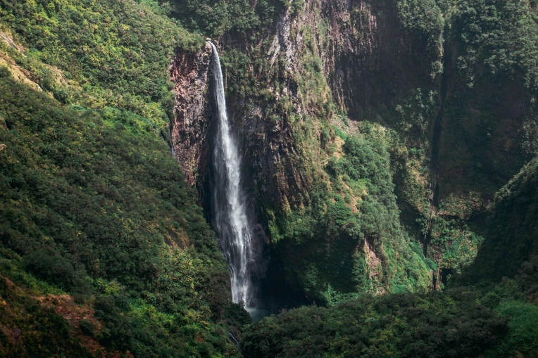 Photographie, Retouche photo, Nature, Traditionnel