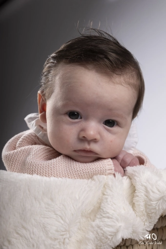 Photography, Photo retouching, Newborns, Artistic, Traditional, Lifestyle