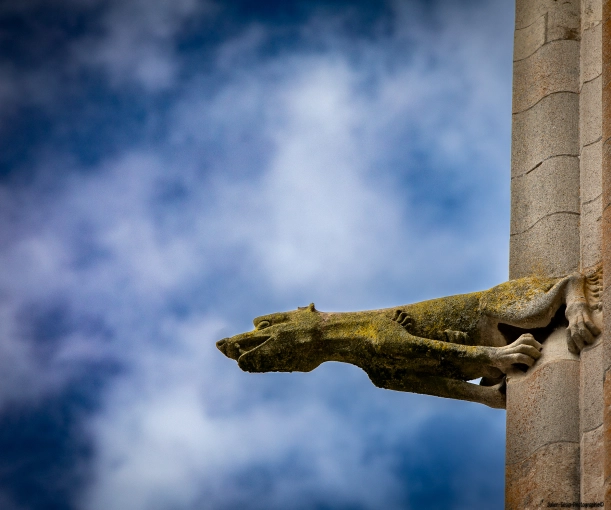 Real estate & Architectural